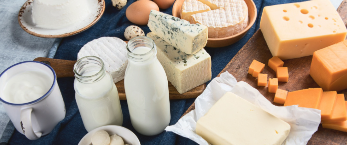 Dairy products and milk assortment