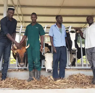 Farm team at the dairy barn